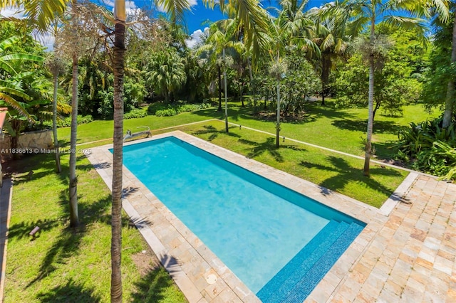 5800 SW 178th Ave, Southwest Ranches, FL 33331 - outdoor pool featuring a lawn, a patio area, and view of wooded area