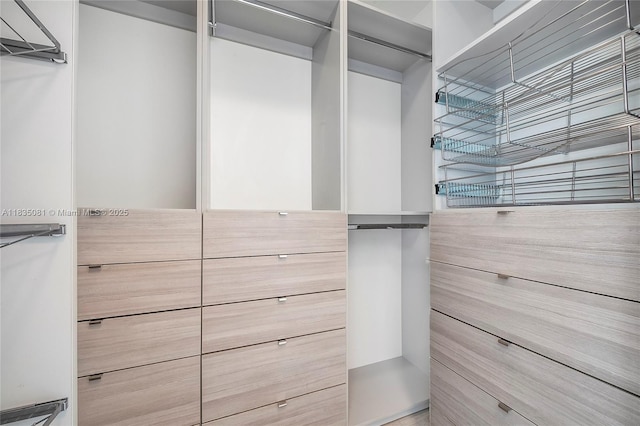 2681 N Flamingo Rd Unit 2708S, Sunrise, FL 33323 - view of spacious closet