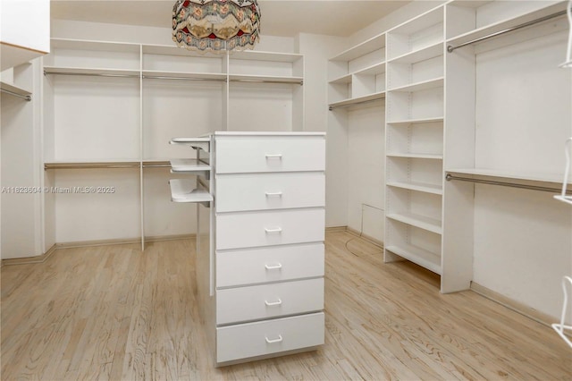 3802 NE 207th St Unit 601, Aventura, FL 33180 - walk in closet with light wood-type flooring