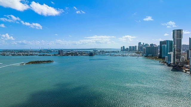 650 NE 32nd St Unit 2205, Miami, FL 33137 - water view with skyline