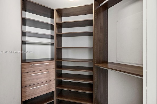 650 NE 32nd St Unit 2205, Miami, FL 33137 - view of walk in closet