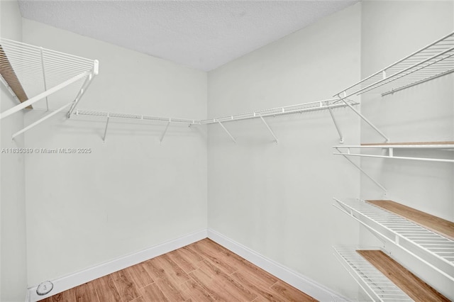 801 SW 138th Ave Unit 103E, Pembroke Pines, FL 33027 - walk in closet with wood finished floors