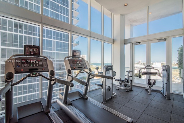 1040 Biscayne Blvd Unit 2402, Miami, FL 33132 - exercise room with french doors, plenty of natural light, a towering ceiling, and a city view