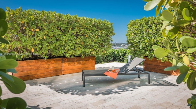1040 Biscayne Blvd Unit 2402, Miami, FL 33132 - view of patio / terrace