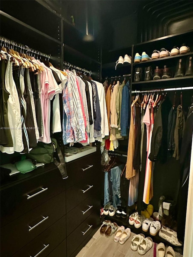 799 Hookline Cir, Loxahatchee, FL 33470 - view of walk in closet