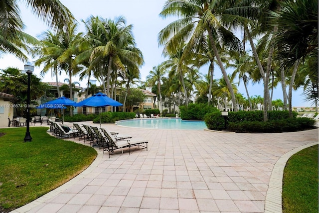 2954 NW 124th Way, Sunrise, FL 33323 - community pool with a lawn