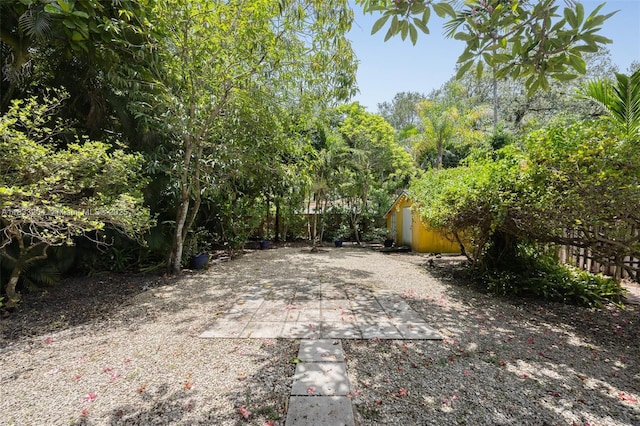 4050 Loquat Ave, Coconut Grove, FL 33133 - view of yard featuring a storage unit and a patio area