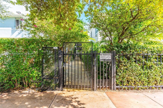 825 Jefferson Ave Unit 4, Miami Beach, FL 33139 - view of gate