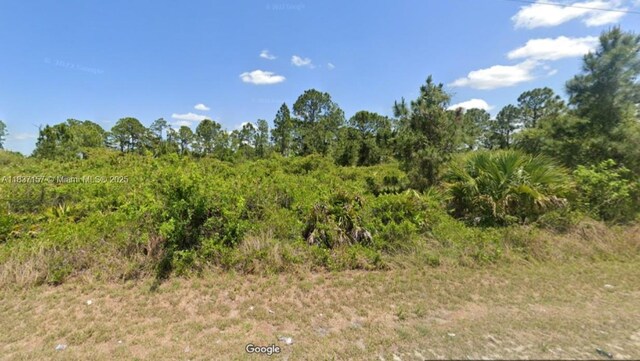 355 Long Ave, Lehigh Acres, FL 33974