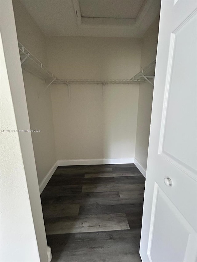 8297 SW 25th Ct Unit 101, Miramar, FL 33025 - spacious closet with attic access and wood finished floors