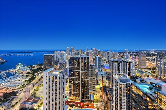 851 NE 1st Ave Unit 2809, Miami, FL 33132 - view of city featuring a large body of water