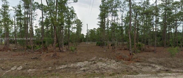 2005 E 14th St, Lehigh Acres, FL 33971