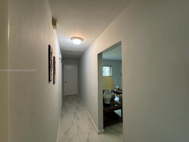 14181 Leaning Pine Dr, Miami Lakes, FL 33014 - photo 11