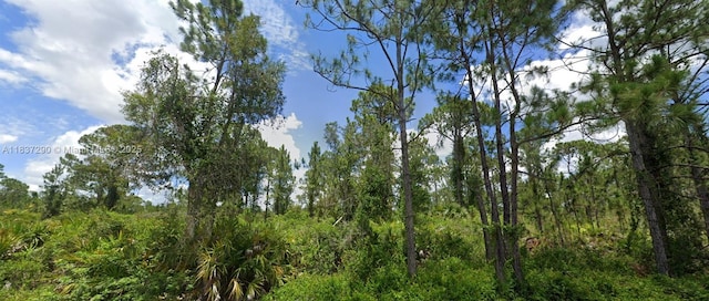 3312 69th St W, Lehigh Acres, FL 33971 - photo 1