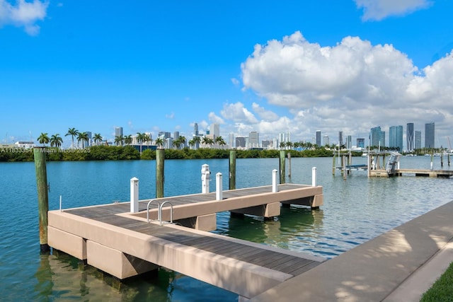 198 Palm Ave, Miami Beach, FL 33139 - photo 20