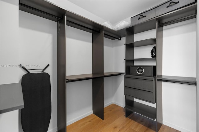 398 NE 5th St Unit 3219, Miami, FL 33132 - walk in closet featuring light wood finished floors