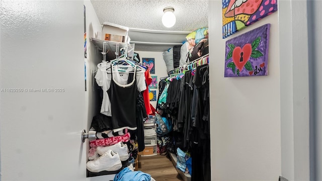 9111 SW 22nd Ct Unit B-3, Davie, FL 33324 - spacious closet featuring wood finished floors