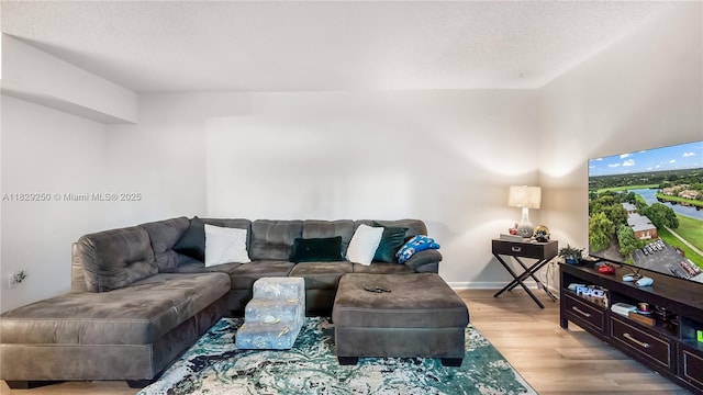 9111 SW 22nd Ct Unit B-3, Davie, FL 33324 - living room featuring wood finished floors and baseboards