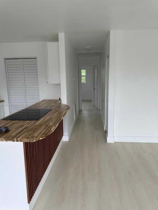420 Burning Tree Ln, Punta Gorda, FL 33982 - corridor with light wood finished floors and baseboards