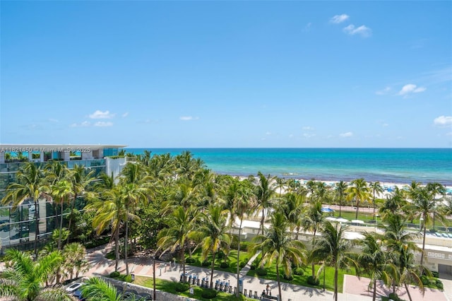2899 Collins Ave Unit 821, Miami Beach, FL 33140 - photo 23