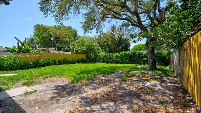 2820 NW 95th St, Miami, FL 33147 - view of yard