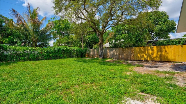 2820 NW 95th St, Miami, FL 33147 - view of yard