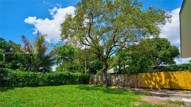 2820 NW 95th St, Miami, FL 33147 - view of yard