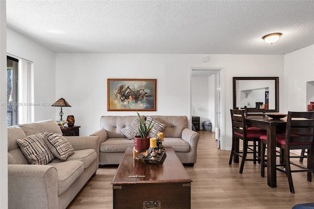 9730 Hammocks Blvd Unit 201-28, Miami, FL 33196 - living area with light wood-type flooring and a textured ceiling