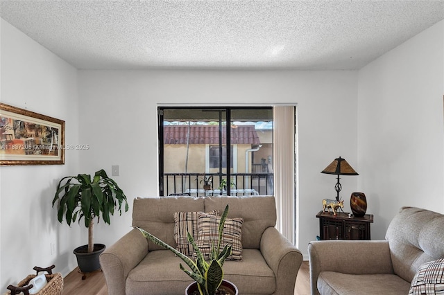 9730 Hammocks Blvd Unit 201-28, Miami, FL 33196 - living area with wood finished floors and a textured ceiling