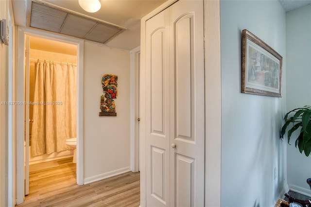 9730 Hammocks Blvd Unit 201-28, Miami, FL 33196 - corridor with light wood finished floors and baseboards