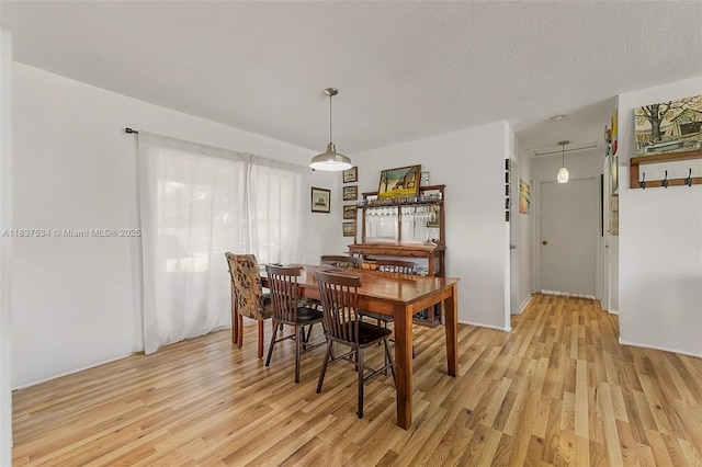 521 NE Dinner, Dinner, Palm Bay, FL 32907 - dining room with light wood-type flooring