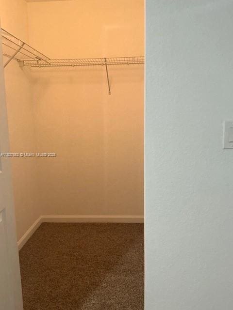 4603 Highgate Dr Unit C, Delray Beach, FL 33445 - walk in closet with carpet