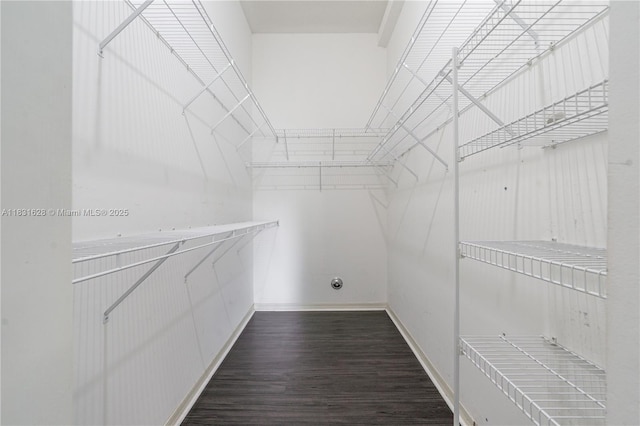 1122 NW 143rd Ave, Pembroke Pines, FL 33028 - walk in closet featuring dark wood-style flooring