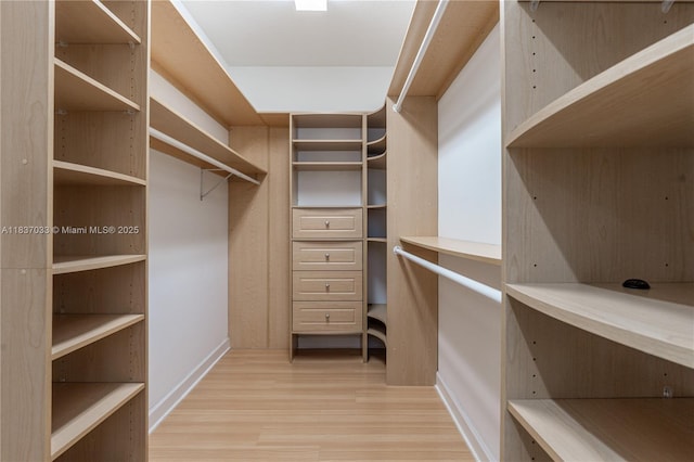 1907 NW 137th Ter, Pembroke Pines, FL 33028 - walk in closet featuring wood finished floors