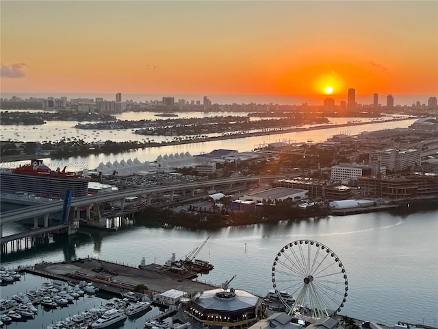 244 Biscayne Blvd Unit 4803, Miami, FL 33132 - water view featuring city skyline, numerous boat docks, and a notable bridge