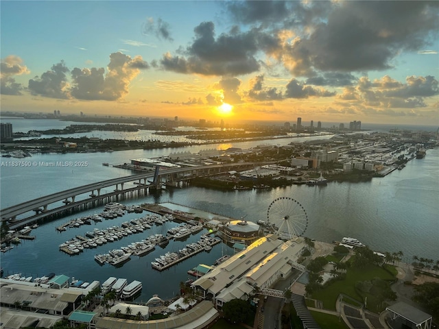 244 Biscayne Blvd Unit 4803, Miami, FL 33132 - water view with a marina and a notable bridge
