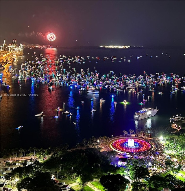 244 Biscayne Blvd Unit 4803, Miami, FL 33132 - city view featuring a large body of water and numerous boat docks