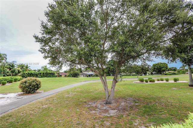 3650 N 36th Ave Unit 2, Hollywood, FL 33021 - photo 58
