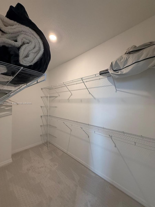 4468 Spruce Ln, Oakland Park, FL 33309 - spacious closet with light carpet