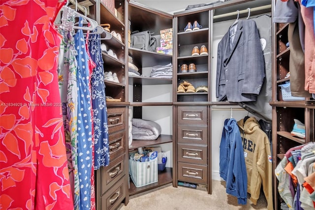 1533 Shenandoah St, Hollywood, FL 33020 - walk in closet with carpet floors