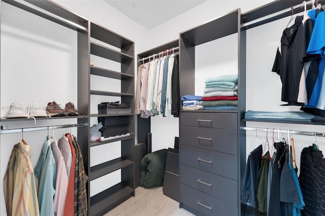 17940 SW 83rd Ave, Palmetto Bay, FL 33157 - walk in closet featuring light wood finished floors