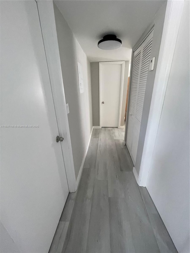 10020 NW 9th St Cir Unit 203, Miami, FL 33172 - corridor featuring wood finished floors and baseboards