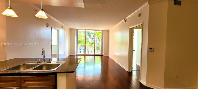2000 N Bayshore Dr Unit 509, Miami, FL 33137 - kitchen featuring dark wood-style flooring, crown molding, open floor plan, a textured ceiling, and decorative light fixtures
