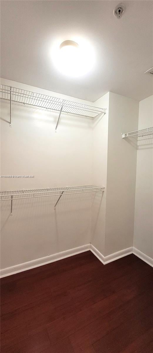 2000 N Bayshore Dr Unit 509, Miami, FL 33137 - walk in closet with dark wood-style flooring
