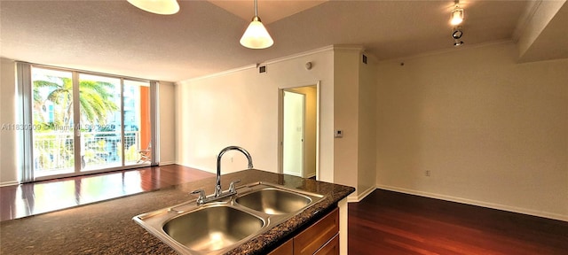 2000 N Bayshore Dr Unit 509, Miami, FL 33137 - kitchen with dark countertops, crown molding, and dark wood finished floors
