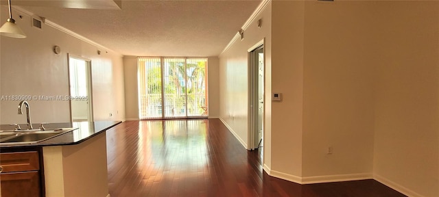 2000 N Bayshore Dr Unit 509, Miami, FL 33137 - corridor with a textured ceiling, dark wood-style floors, a wall of windows, and crown molding