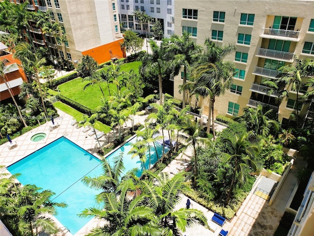 2000 N Bayshore Dr Unit 509, Miami, FL 33137 - view of pool