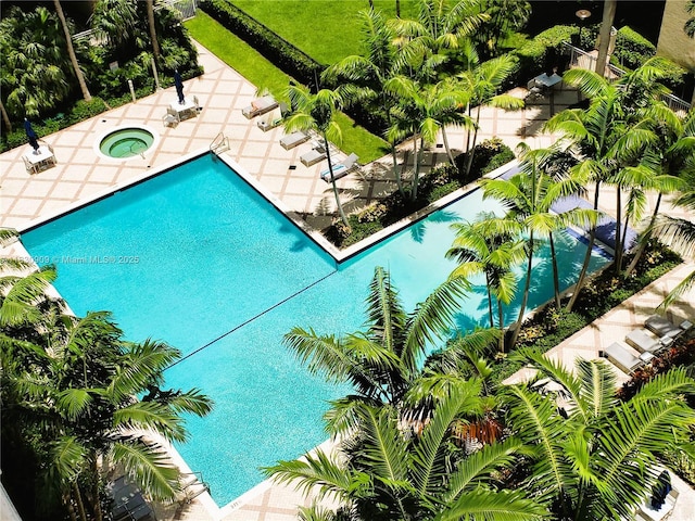 2000 N Bayshore Dr Unit 509, Miami, FL 33137 - community pool with a hot tub and a patio