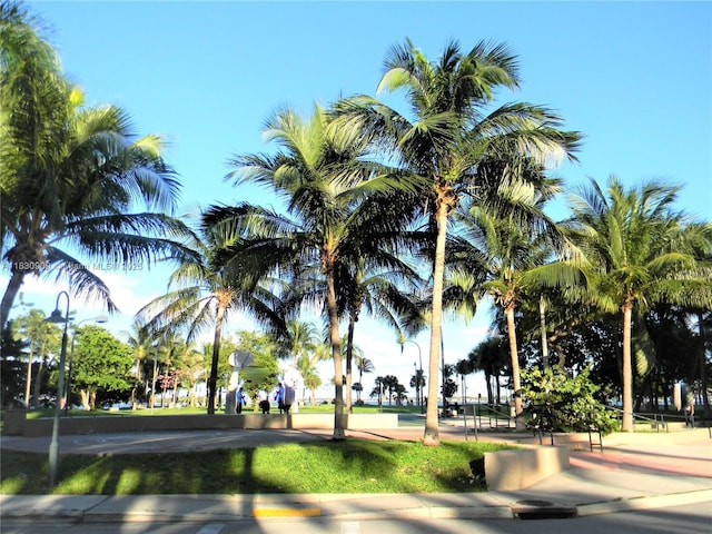2000 N Bayshore Dr Unit 509, Miami, FL 33137 - surrounding community
