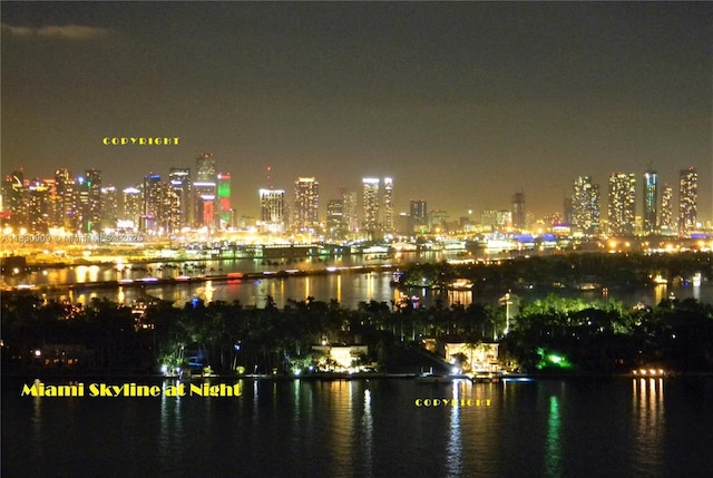 2000 N Bayshore Dr Unit 509, Miami, FL 33137 - view of city with a view of city lights and a large body of water